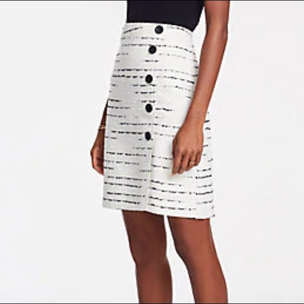 Ann Taylor A-line Skirt